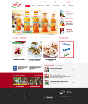 Strona internetowa firmy